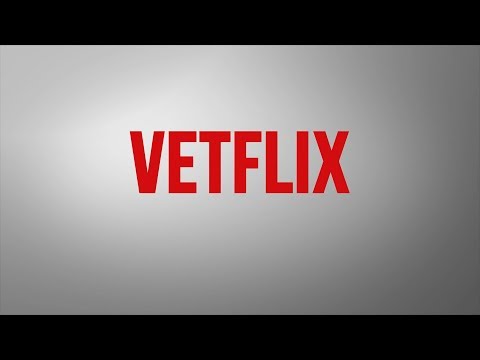 Bosbox - Bos Major 2019 (5th Year)