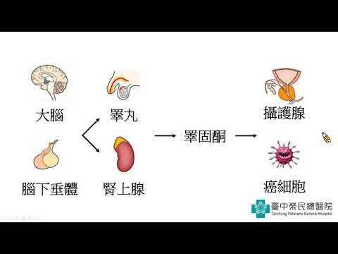 2020年12月攝護腺癌病友會--「攝護腺癌藥物治療」(林嘉彥醫師)