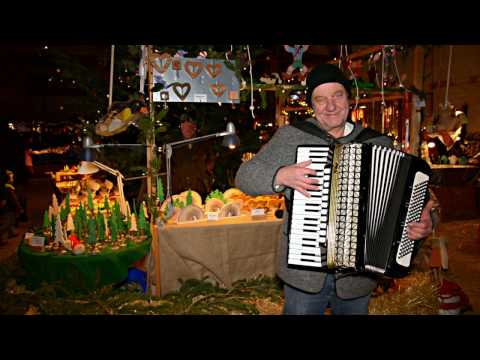 Amazing Christmas Medley for Accordion (HD) - played by Theo Degler