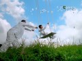 Peace TV Official Promo