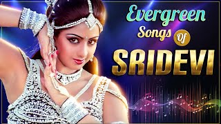 Download lagu Sridevi's Ultimate Duet Hits - Evergreen Songs of Sridevi - Top Bollywood Duet Hindi Songs Jukebox mp3 Download lagu Sridevi's Ultimate Duet Hits - Evergreen Songs of Sridevi - Top Bollywood Duet Hindi Songs Jukebox mp3