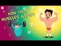 How your Muscles Grow?  - The Dr. Binocs Show | BEST LEARNING VIDEOS For Kids | Peekaboo Kidz