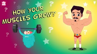 How your Muscles Grow?  - The Dr. Binocs Show | BEST LEARNING VIDEOS For Kids | Peekaboo Kidz