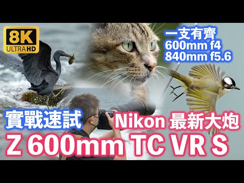 [8K] 實戰評測 Nikon 最新大炮 Nikkor Z 600mm TC VR S 內置增距 840mm f5.6