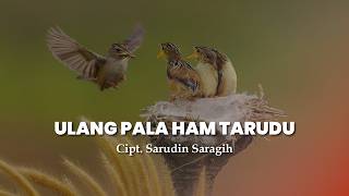 Download lagu DINGIS NA LANG MARASAR - ULANG HAM TARUDU | CIPT. SARUDIN SARAGIH | LAGU ETNIS SIMALUNGUN TERBARU mp3 Download lagu DINGIS NA LANG MARASAR - ULANG HAM TARUDU | CIPT. SARUDIN SARAGIH | LAGU ETNIS SIMALUNGUN TERBARU mp3