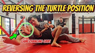 Reversing Opponents From Turtle Craig Jones