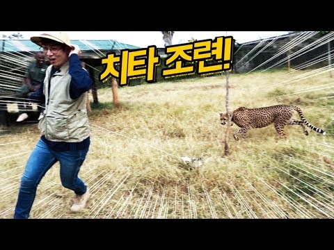 치타와 달리기 대결! 아프리카 케냐 동물센터 방문기