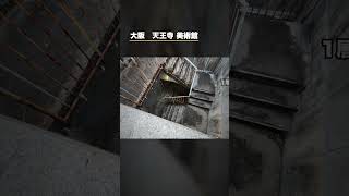 この窓、地面の下です #shorts