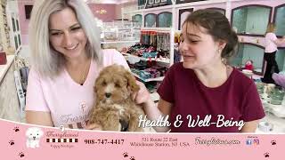 Furrylicious Premiere Pups
