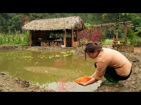 👉 Releasing Fish – A New Beginning for Our Small Farm | EP13