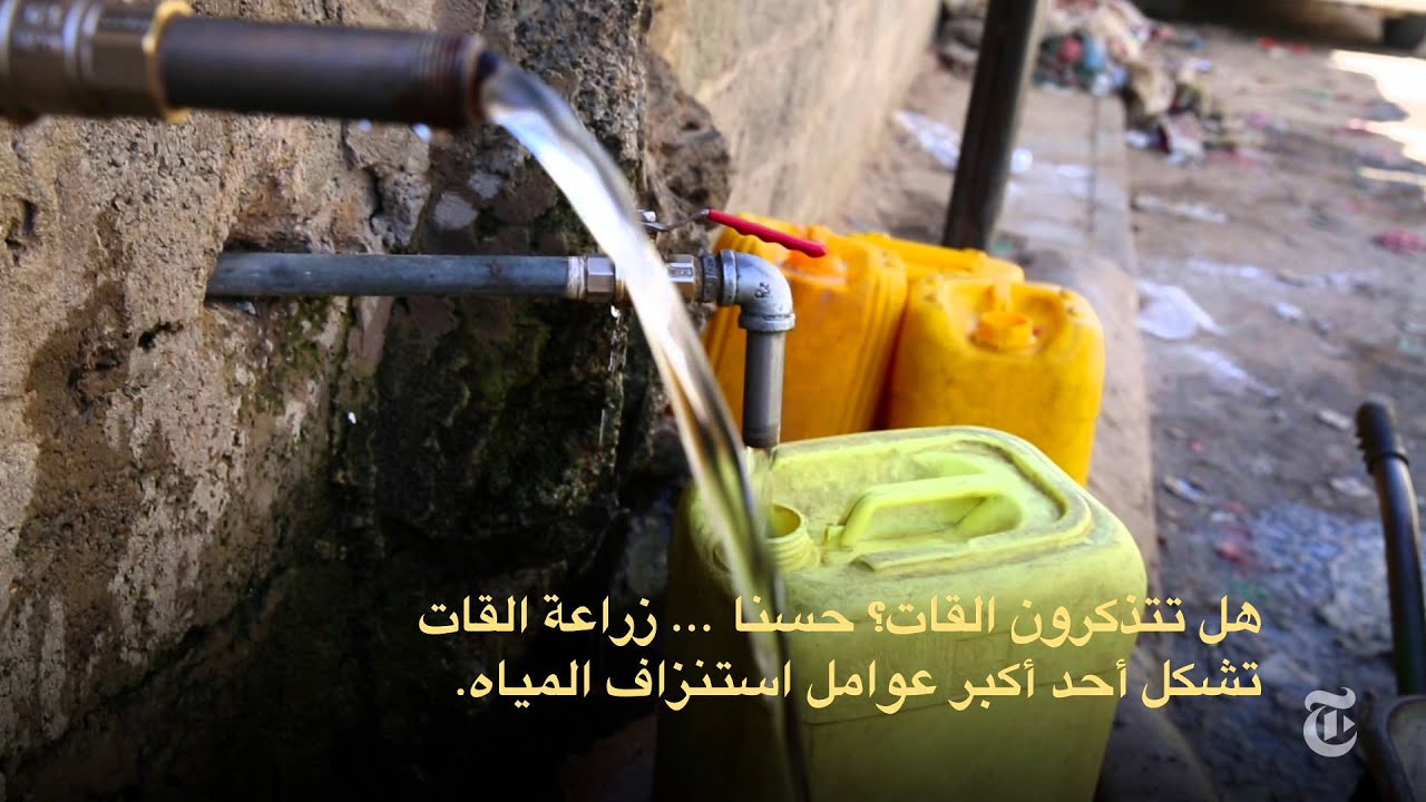 Life With Houthi Rebels in Yemen | Times Dispatched |  مع المتمردين الحوثيين في اليمن