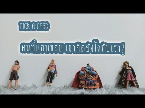 PICK A CARD EP.44 คนที่เราแอบชอบคิดยังไงกับเรา??