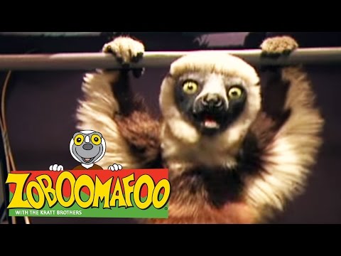 🐒 Zoboomafoo 🐒 110 | Climbing - Full Episode | Kids TV Shows