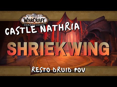 Heroic Shriekwing | Beta Raid Testing | Resto Druid PoV
