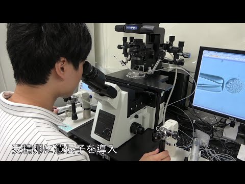 農学生命科学科 【農学部】富岡郁夫准教授（応用生殖科学研究室）2021オープンラボ動画