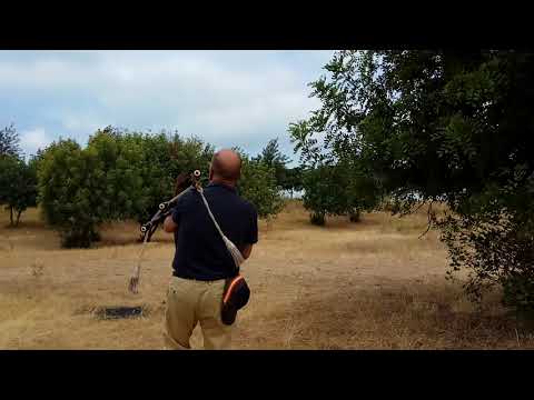 I see Mull ( Land of my Youth)