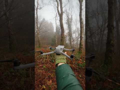 DJI Air 3S versus a foggy forest 🌳 Rate his cinematic drone video out of 10 🎬 @gamanderlopez