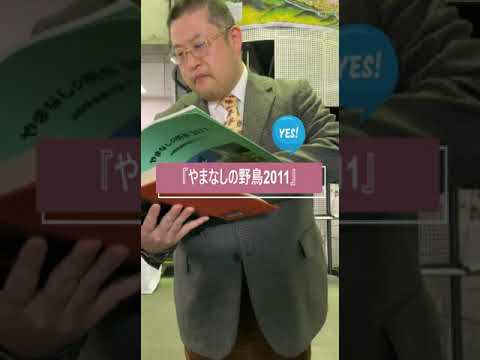答え合わせ編