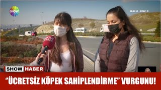 ''Ücretsiz köpek sahiplendirme'' vurgunu!