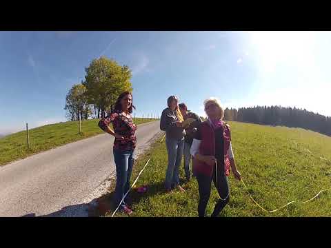 Vereinsmeisterschaft 2017