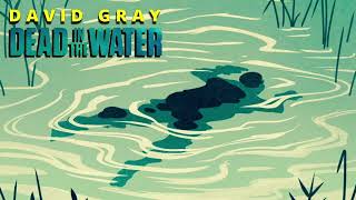 David Gray - Dead In The Water