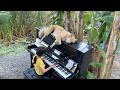 Emilie Plays "LA57 (x4) by Alessandra Celletti with Sharky the Dog