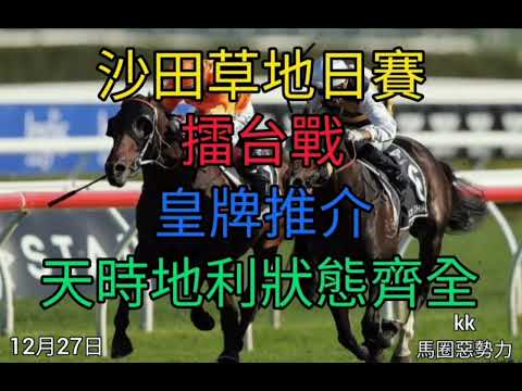 香港賽馬貼士2021年12月27日沙田草地日賽(擂台戰)