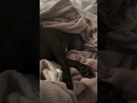 Sunday tempers at the holiday inn!! She was too cold at baseball to even have a temper, but made up.