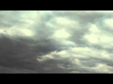 Weston UK tigershark