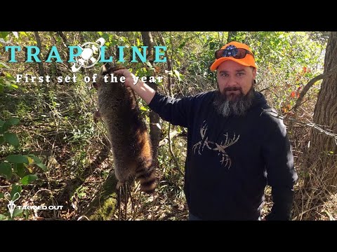 First Set Of The Year Trapping Racoons