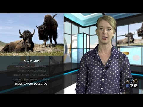 The 4:06 – trending topics and hot headlines