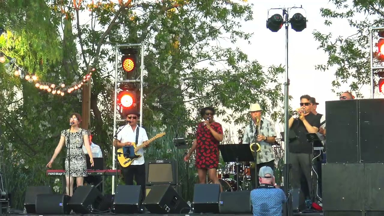 Promotional video thumbnail 8 for Big Blu Soul Revue