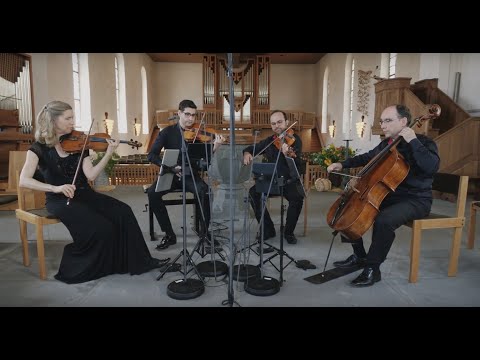 Bartók String Quartet No. 5 - Scherzo: Alla Bulgarese