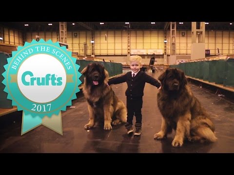 Little Kids and Big Dogs | Crufts 2017