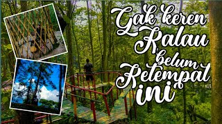preview picture of video 'Wisata keren puncak pinus Cikalong kulon Cianjur'