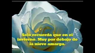 The Rose (Letra en Español)