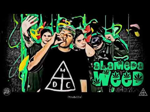 Costa gold - Alameda Weed