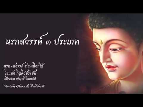 ความคิดเห็น Tor Vergata มหาวิทยาลัย นวดสำหรับคนที่มีความอ่อนแอ