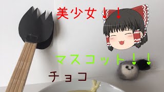 【ゆっくり茶番】美少女！！マスコット！！チョコ！？