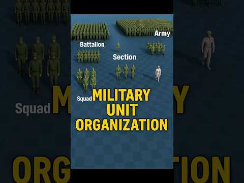 Military Unit Structure Explained | From Squad to Army Group #shortvideo #army