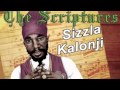Sizzla - Happy Birthday (The Scriptures 2011)