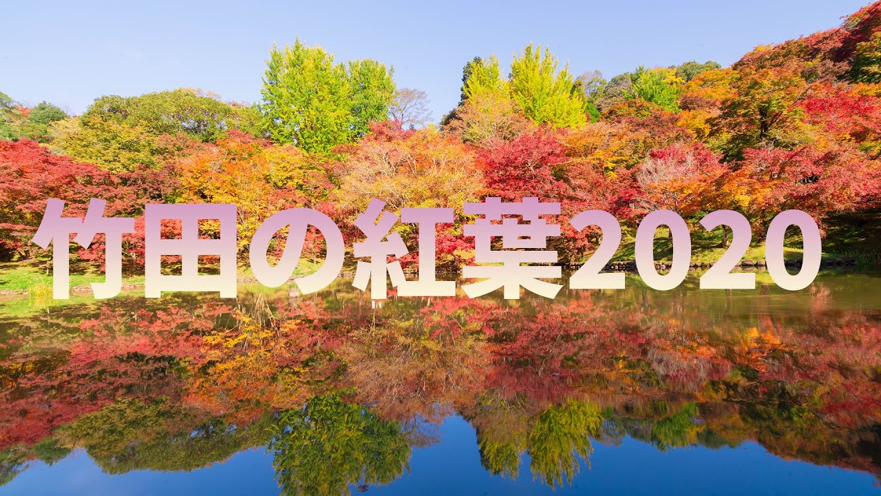 YouTube動画：大分県竹田市の用作公園で見事なリフレクションを見せる美しい紅葉巡り動画