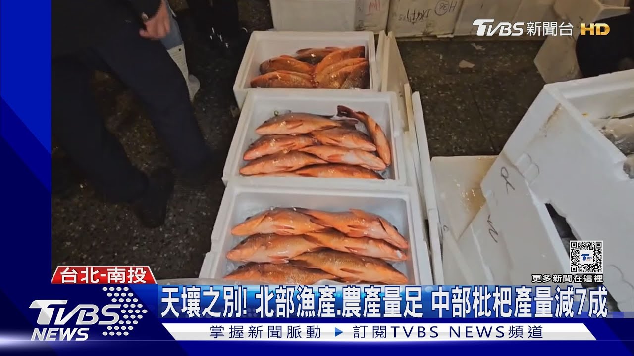 天壤之別!北部漁產、農產量足 中部枇杷產量減7成