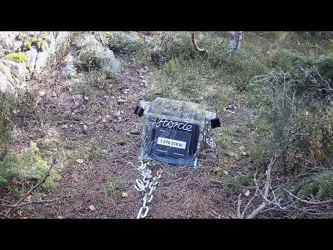 David Kvindesland Live Stream