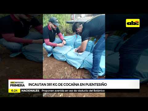 Incautan 381 kg de cocaína en Puentesiño