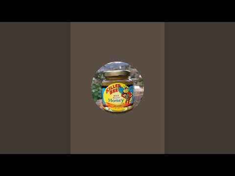 Killer Bee Guy is live!