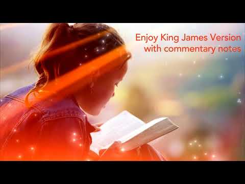 KJV commentary