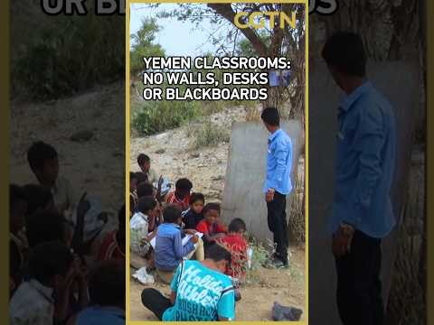 Classrooms under trees: How years of conflict have reshaped education in Yemen