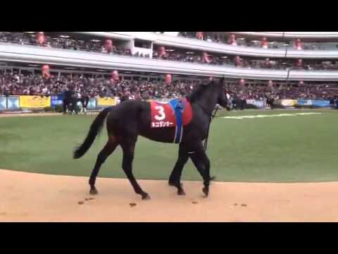 2015.12.27 中山9R ネコダンサー