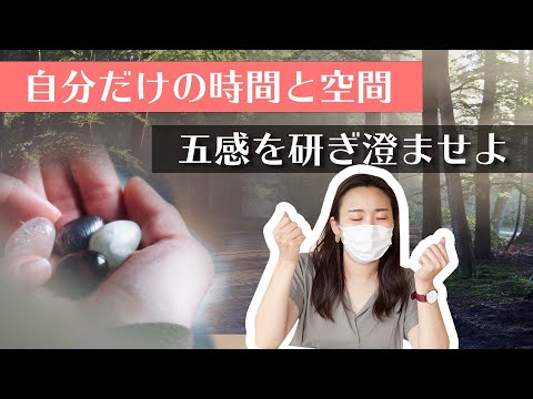 Thinking Egg II｜スタッフレビュー【クラウドファンディング | Kibidango（きびだんご）】